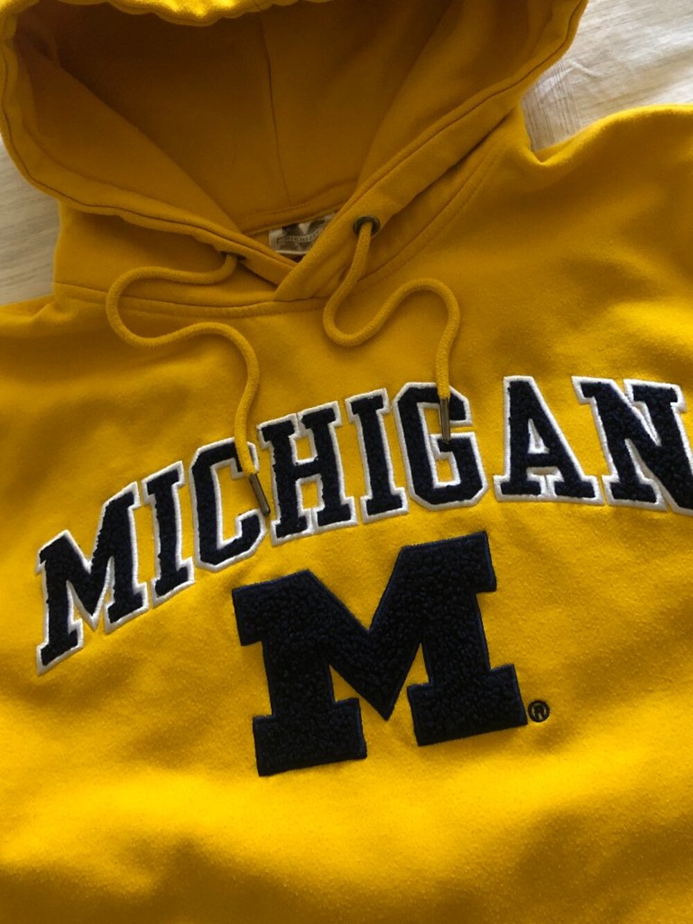 University of Michigan hoodie